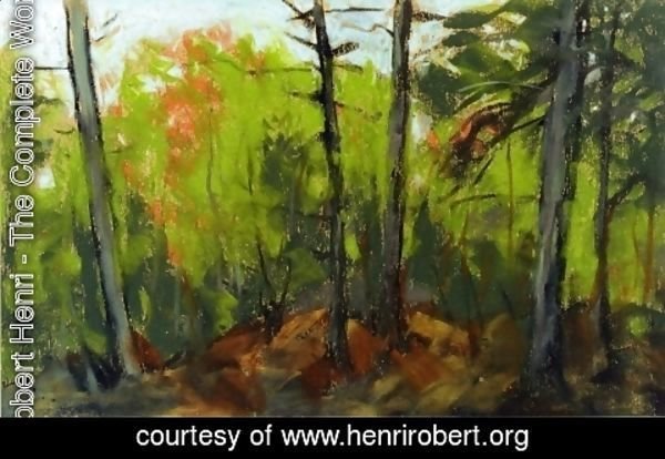 Robert Henri - Woodland Scene  Monhegan  Maine